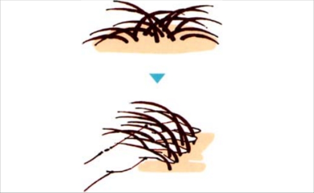 乾かし方のポイント