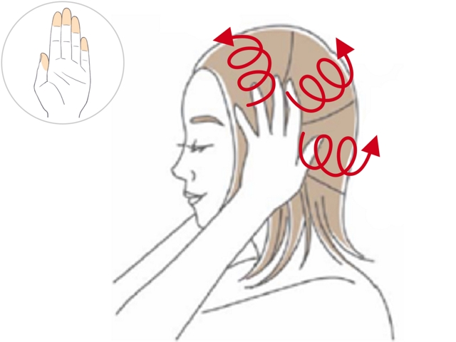 育毛の仕組みと効果について