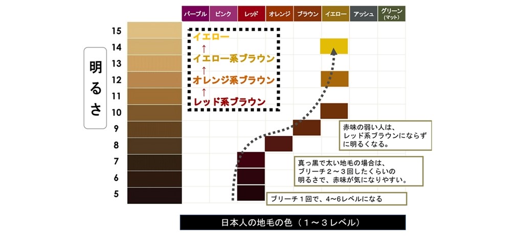 ヘアカラーの色選びの基本