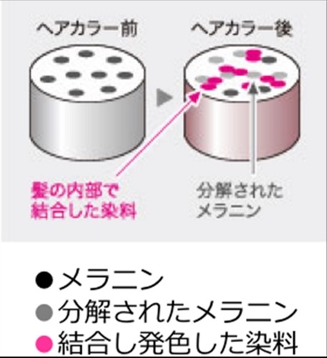 ヘアカラーの種類について 【2】