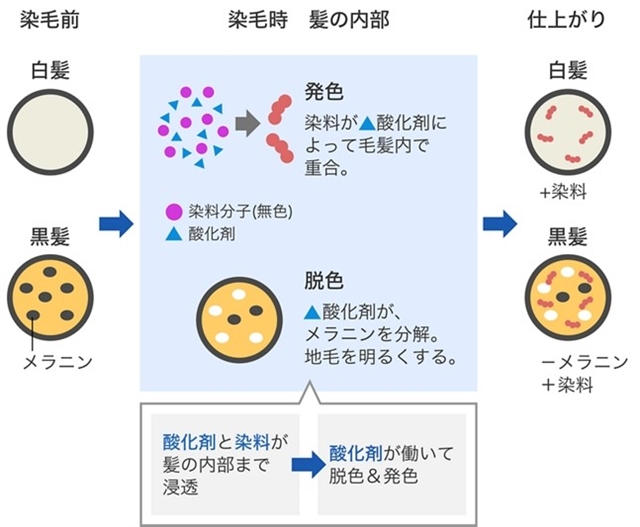 ヘアカラーの種類について 【2】