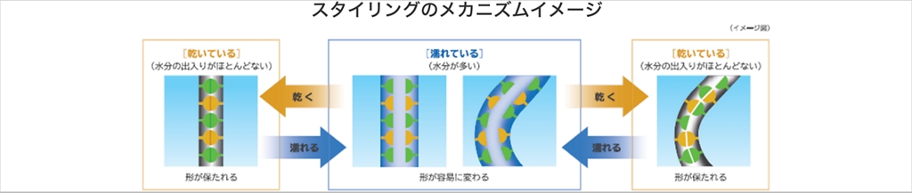 髪に形がつく仕組みとは？